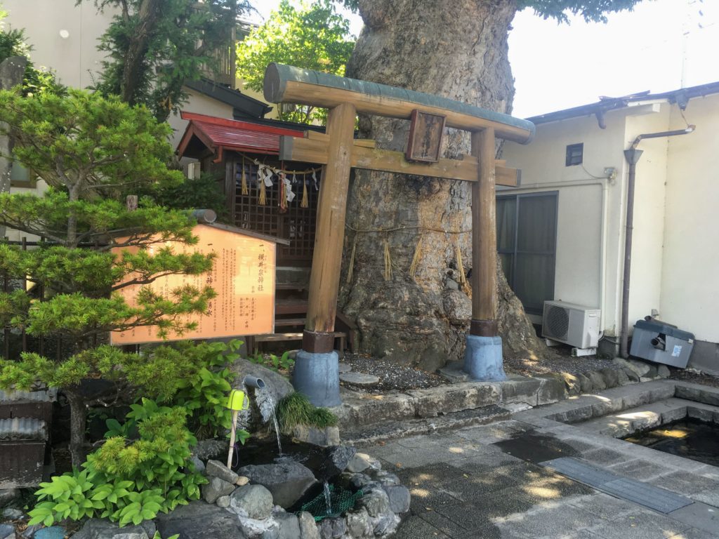 槻井泉神社の湧水